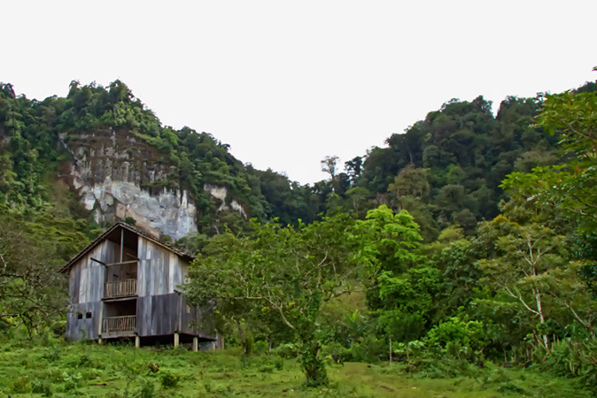 There are many accommodations that can make you feel like you're living in the rainforest