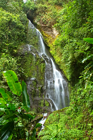 There are many beautiful attractions in the rainforests of Nicaragua