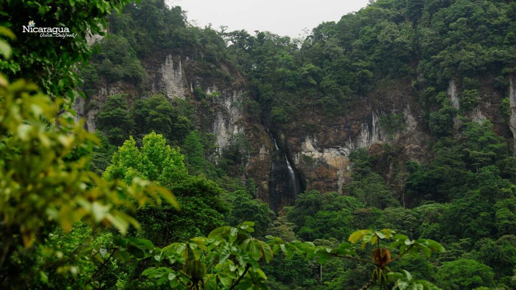 Nicaragua has around 7%  of the planet's biodiversity